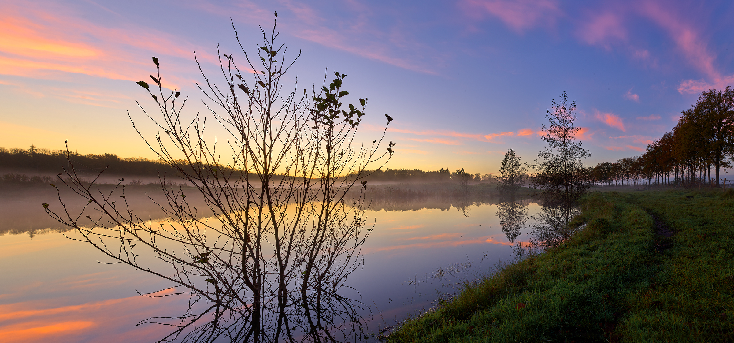 pim van der maden, 2023, paard, kuinderbos, zonsopgang, video, nick van scherrenburg, paard, spiegeling, water,